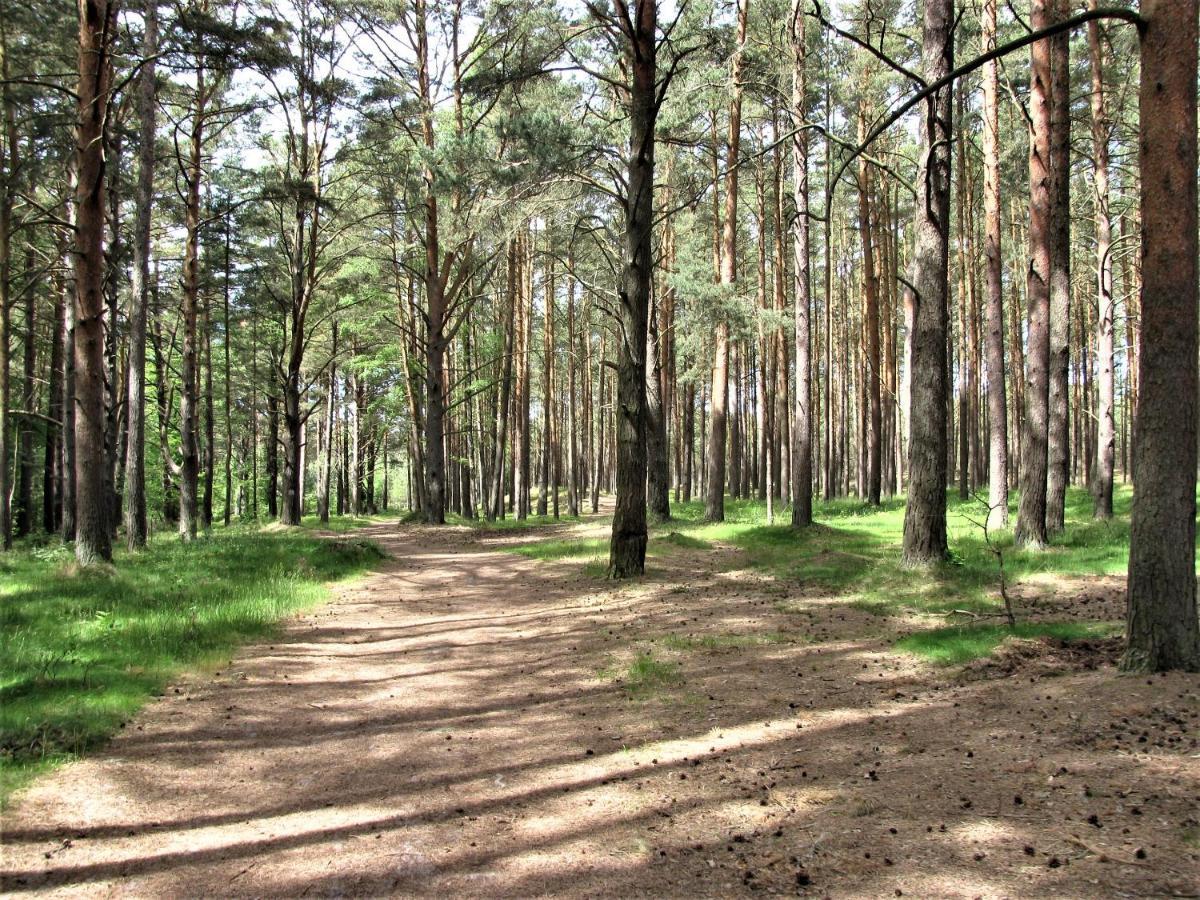 Biale Domki Lubiatowo Lubiatowo  Exteriér fotografie