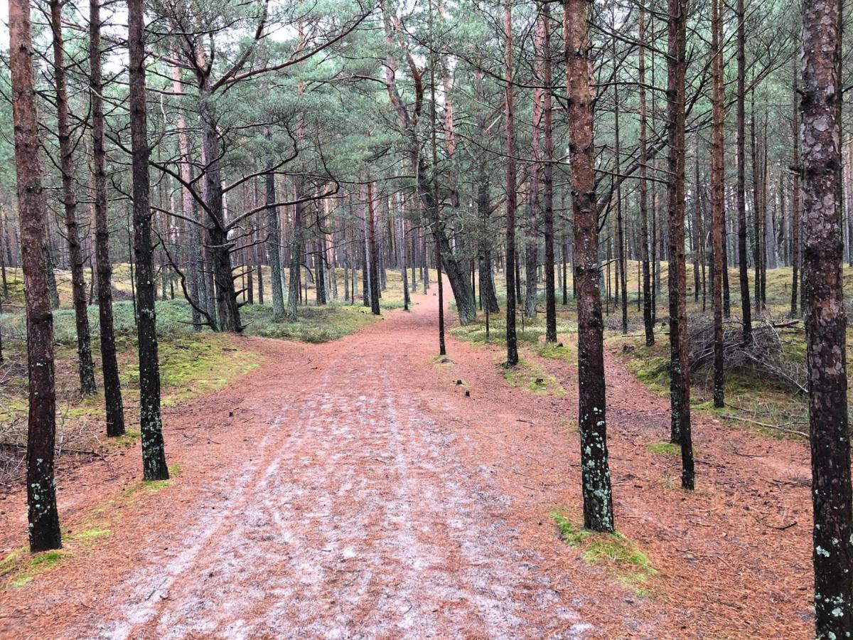 Biale Domki Lubiatowo Lubiatowo  Exteriér fotografie